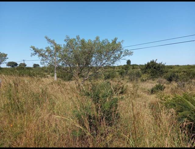 LAND FOR SALE IN MAVAMBE